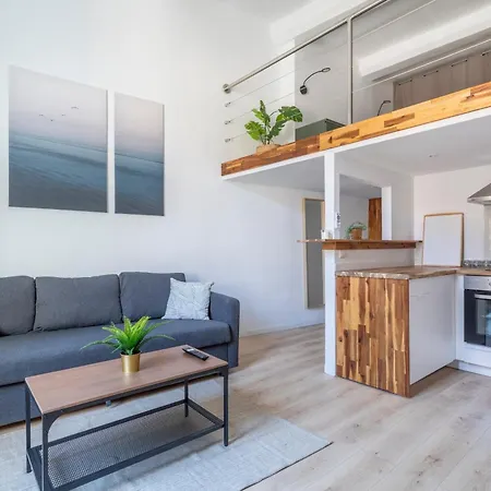 Apartment Duplex Lumineux Centre